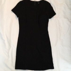 Ann Taylor Dress